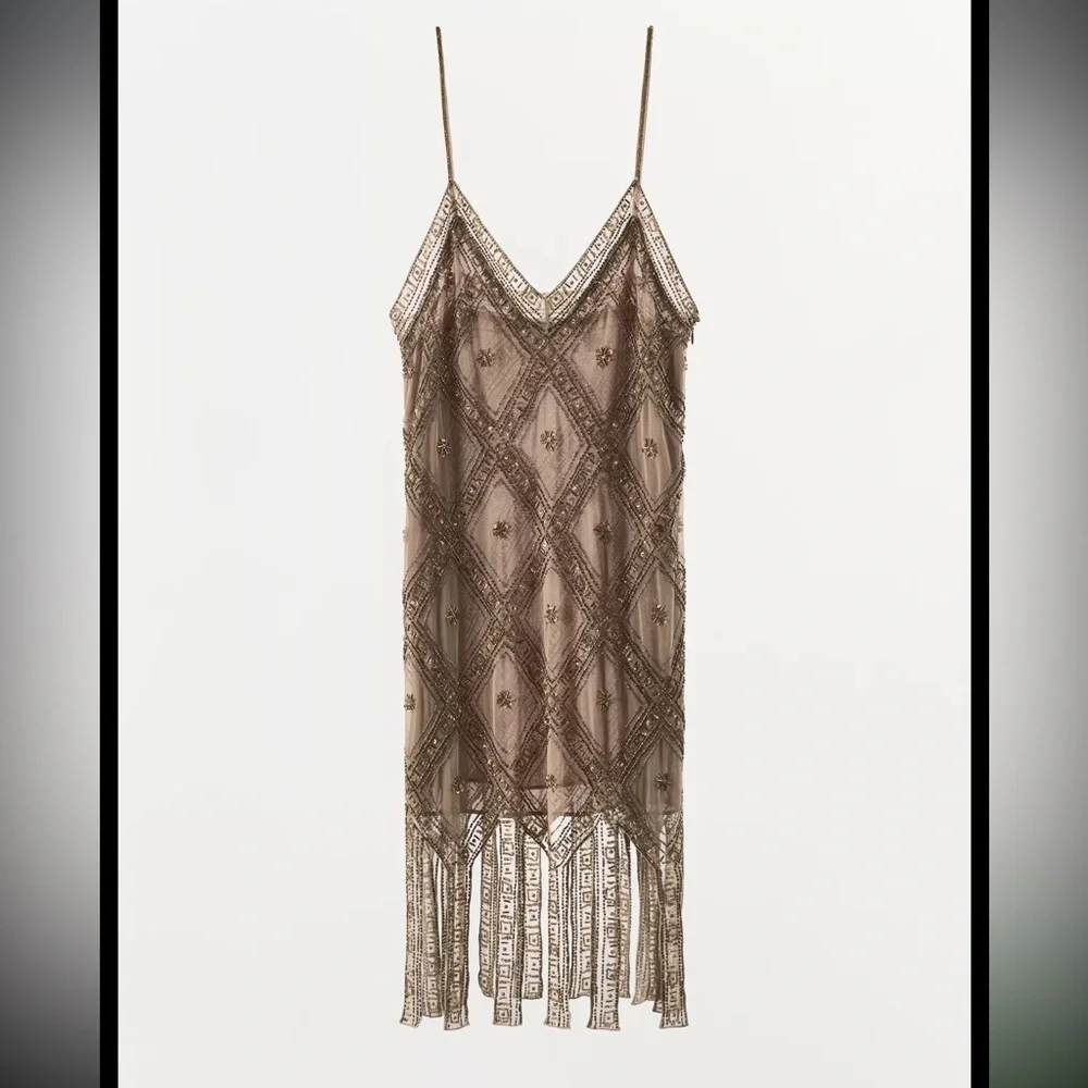 Zara limited edition EMBROIDERED TULLE Mini DRESS - Picture 6 of 15